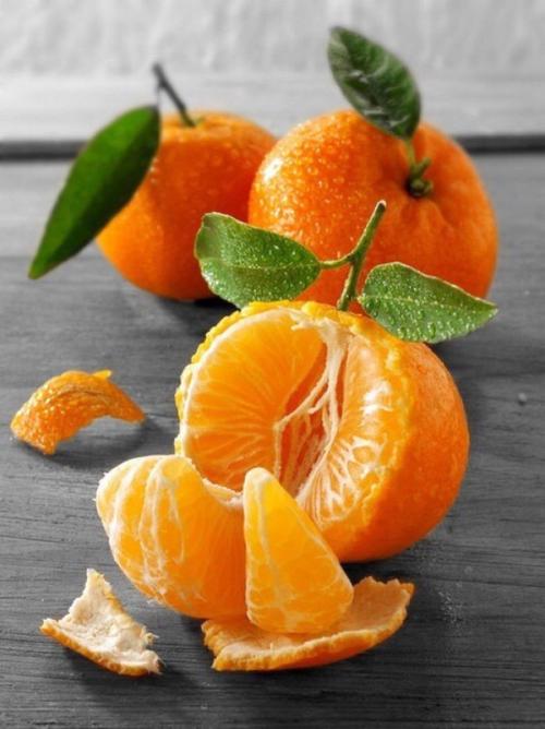 桔子和橘子